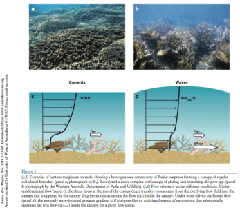Oceanic Forcing Figure Example