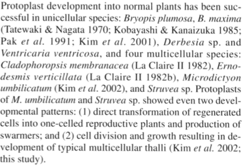 Screen Shot 2018-07-10 at 10.30.21 AM.png