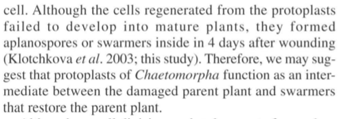 Screen Shot 2018-07-10 at 10.31.13 AM