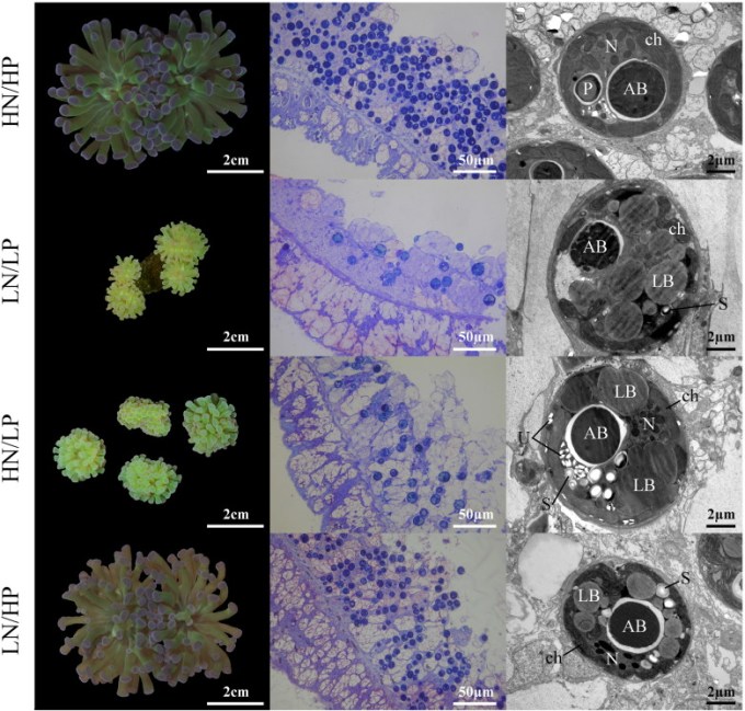 1-s2-0-s0025326x17301601-gr1