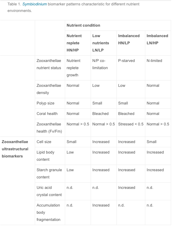 Screen Shot 2018-08-27 at 3.11.13 AM.png